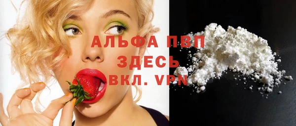 стаф Липки