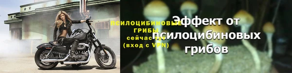 стаф Липки