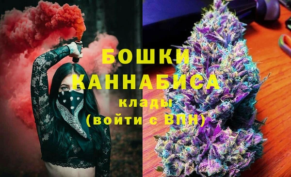 тгк Дубна