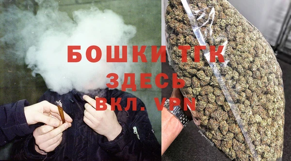 стаф Липки
