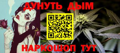 прущие грибы Гатчина