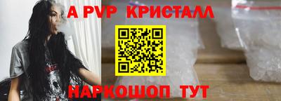 прущие грибы Гатчина