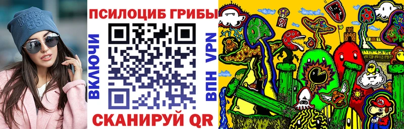 где купить Кашира Галлюциногенные грибы MAGIC MUSHROOMS