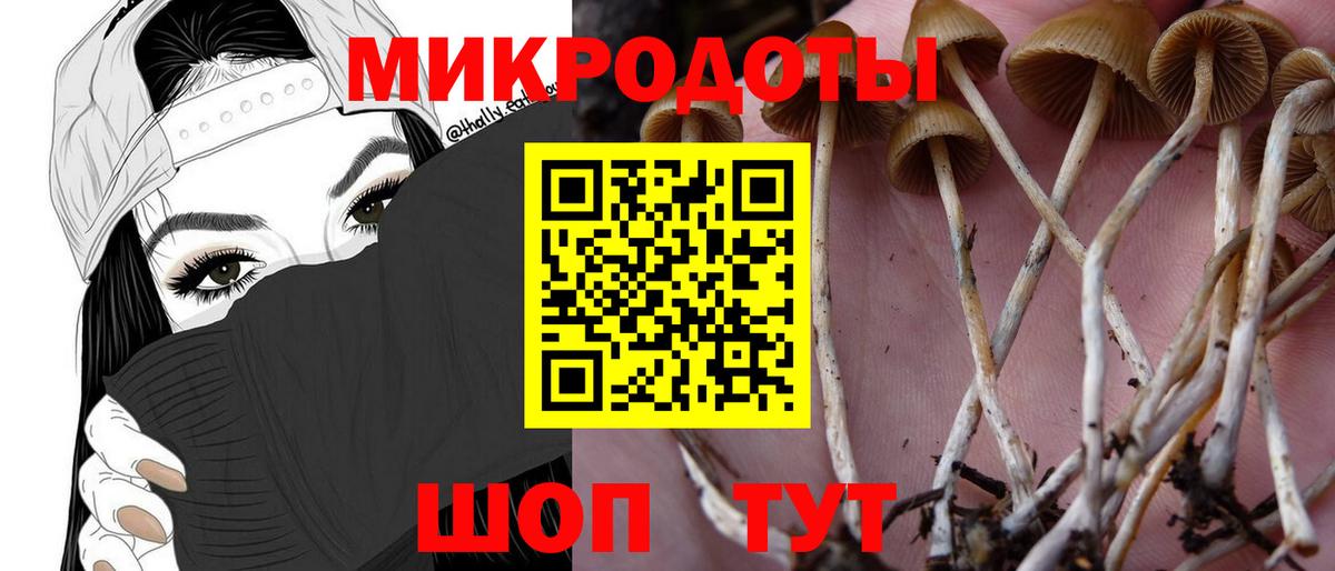 Псилоцибиновые грибы прущие грибы Кашира