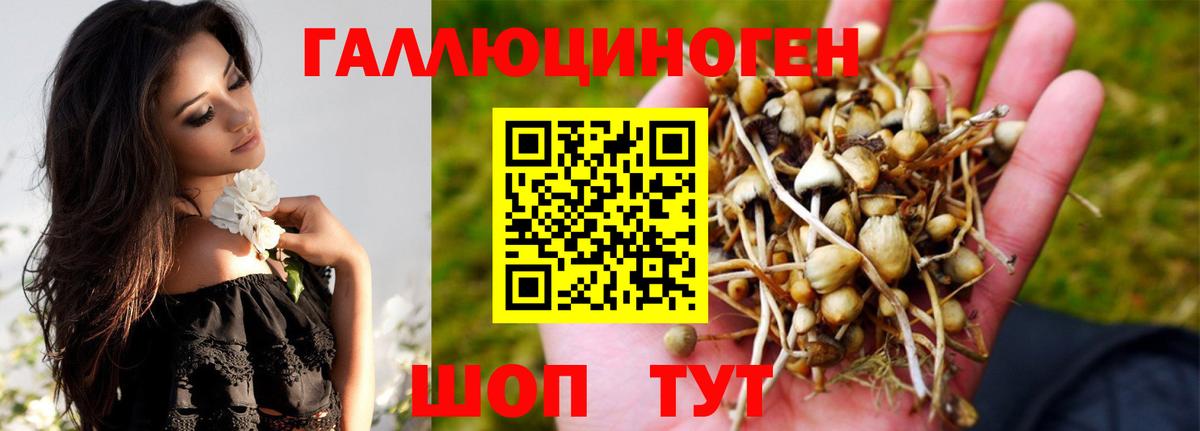 Галлюциногенные грибы MAGIC MUSHROOMS  Вход с VPN  Кашира  Галлюциногенные грибы мицелий 