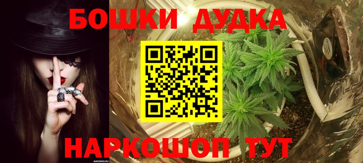 Бошки Шишки план Кашира